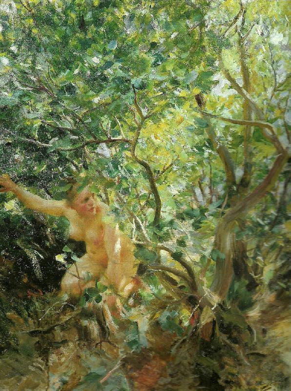 Anders Zorn skramd